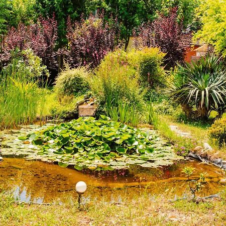Bed and Breakfast Garden Loft Baricella Экстерьер фото