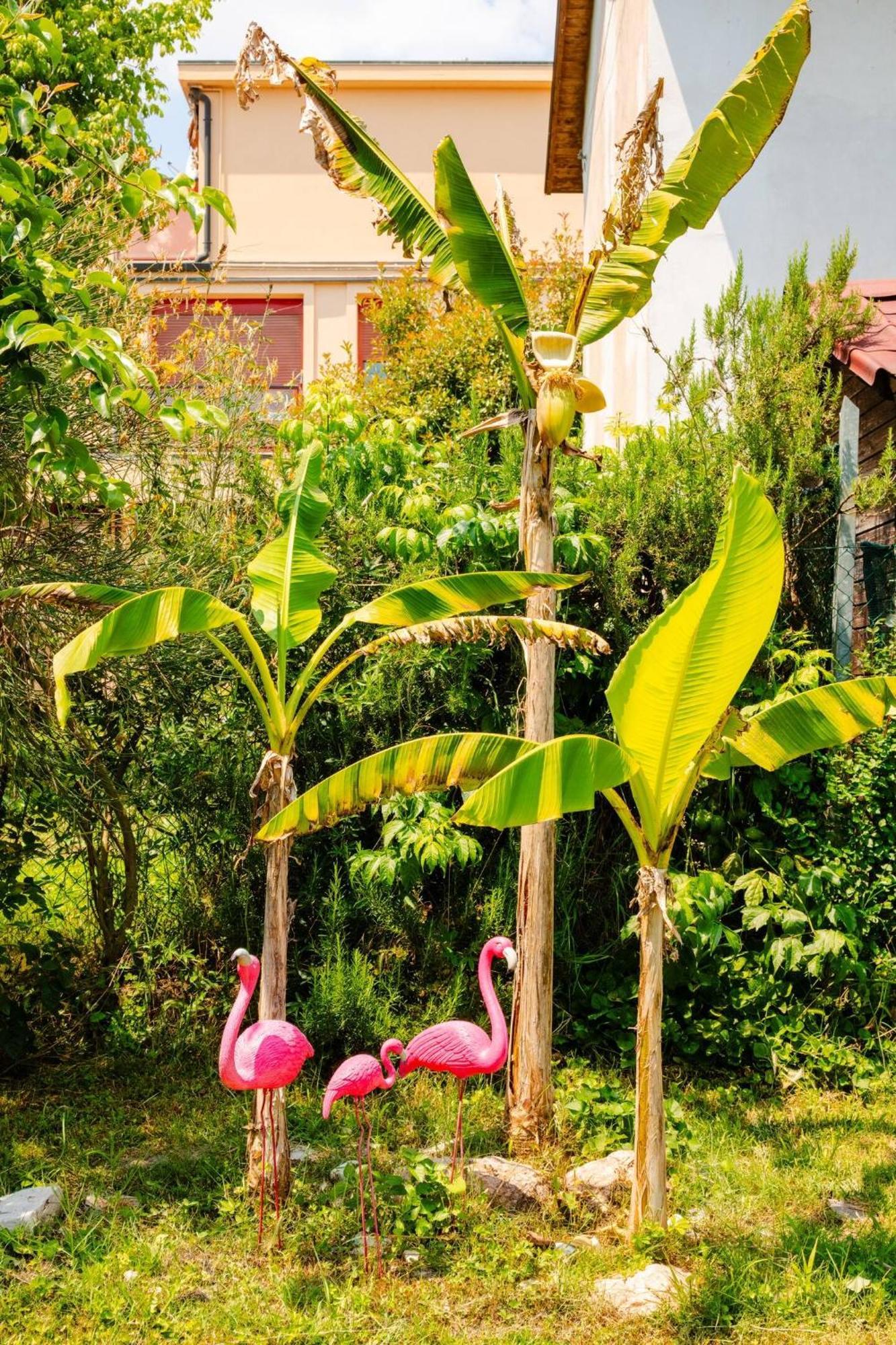 Bed and Breakfast Garden Loft Baricella Экстерьер фото